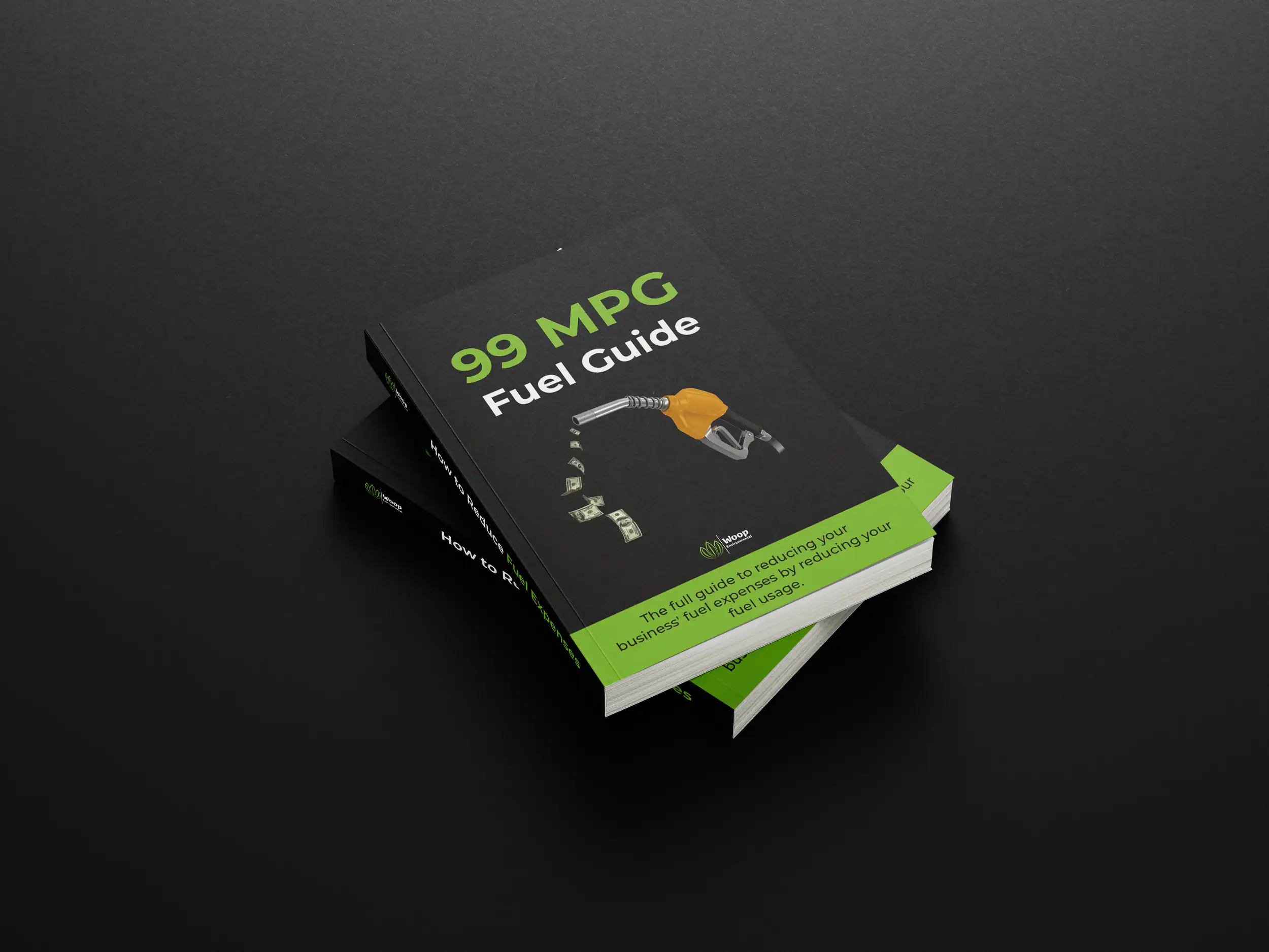 fuel efficiency guide